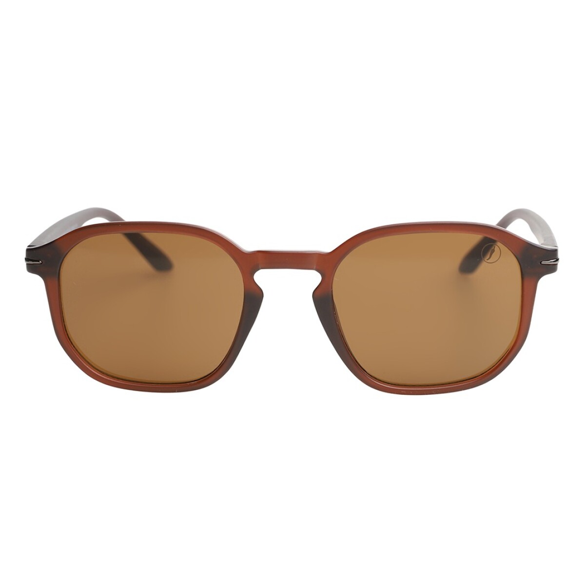 Lentes de Sol Chilli Beans Tampa - Marrón 