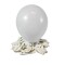 Globo Liso R5 x50 Unidades Blanco