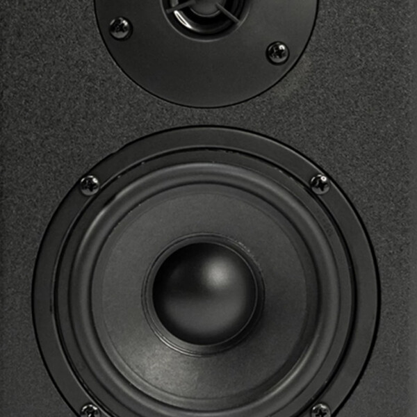 Parlante Caja Acústica Lexsen M5 Monitor 5¨ PARLANTES LEXSEN M5 MONITOR 5
