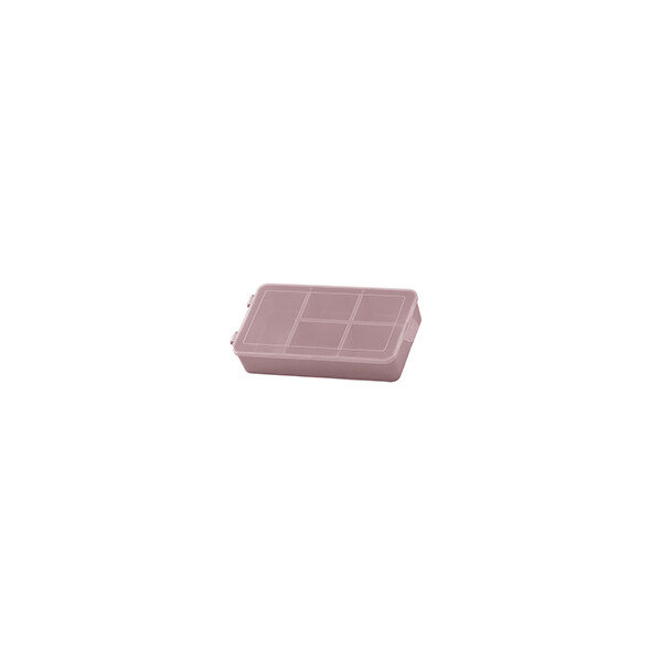 CAJA CON 5 DIVISIONES P 16X9X3.5 CM. MULTICOLOR