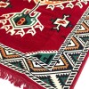 Alfombra Ankara roja 3,00x2,00 2 Alfombra Ankara roja 3,00x2,00 2