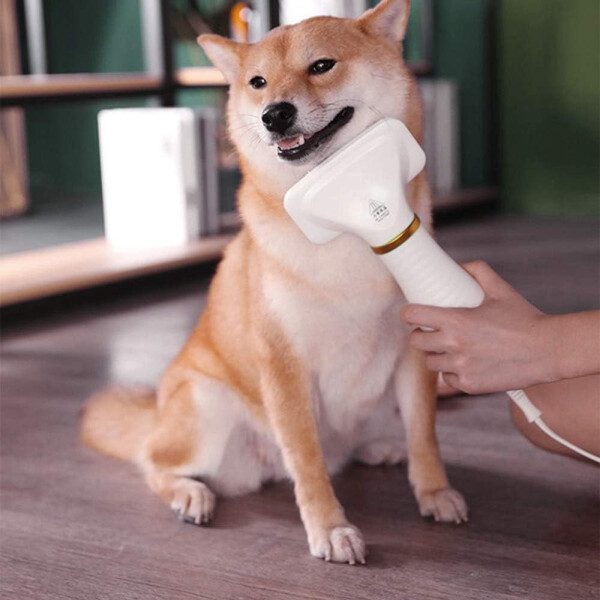 Cepillo Secador De Pelo Perro Gato Mascotas Peine 300w Color Variante Dorado