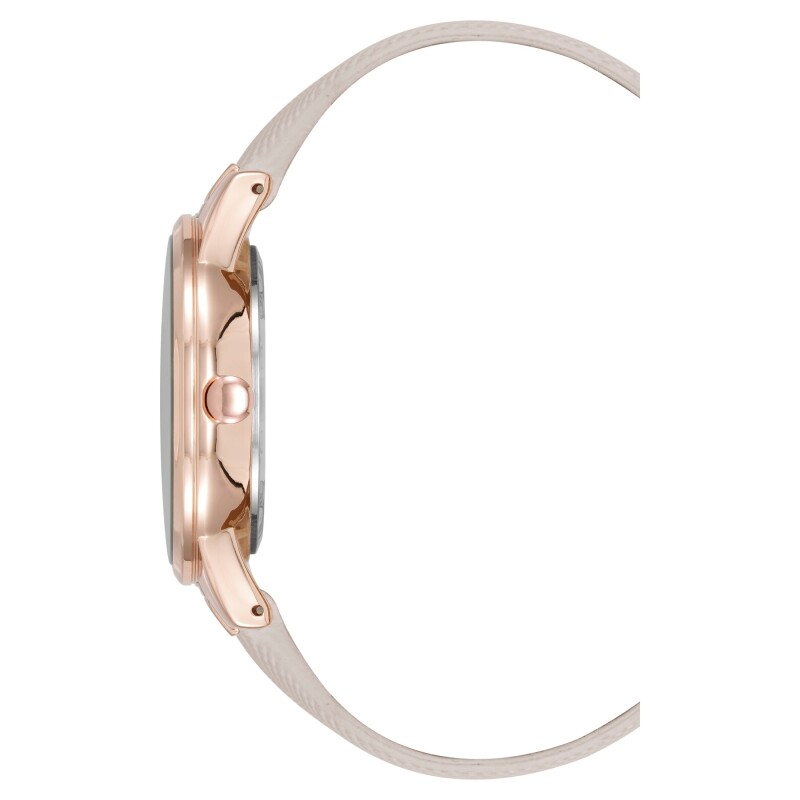 Anlgwatch Ally Cs Sltr St Rose