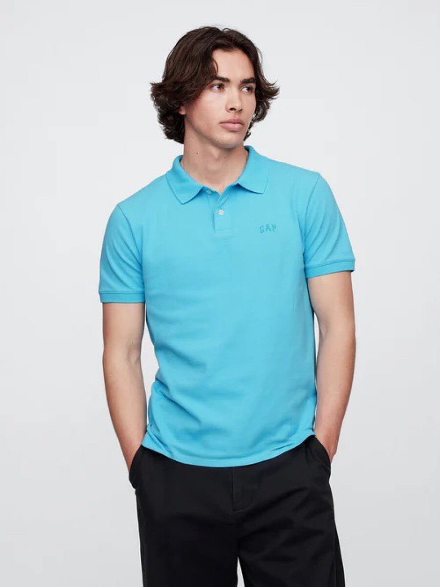 Remera Polo Logo Gap Hombre - Aquarius 