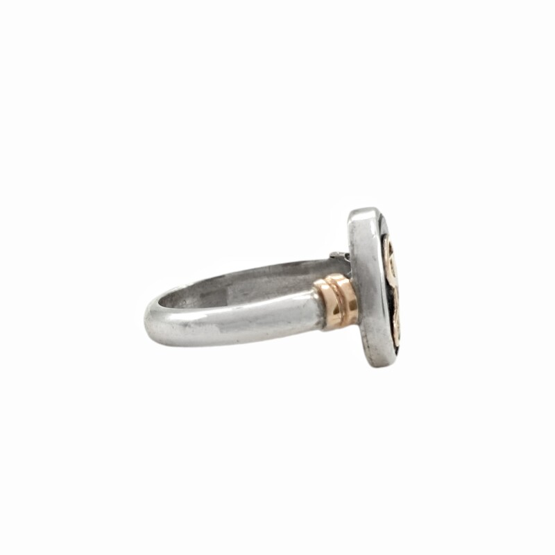 Anillo Profesión Químico Farmacéutico -Plata y Oro- Con Piedra Ónix -AP5053 sinpiedra
