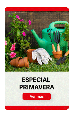HomeGrupo4
