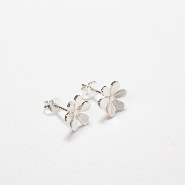 CANRAVAN FLORES CANRAVAN FLORES