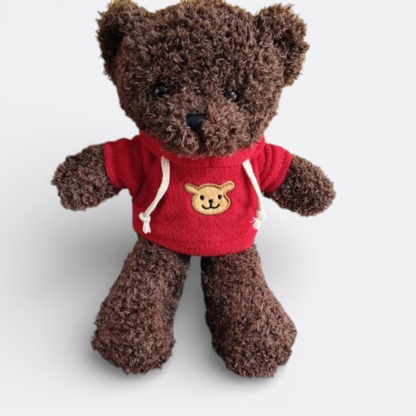 Oso De Peluche Con Buzo Modelo 2