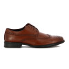 Zapato Starsax Hombre Acordonado C/ Detalle Marron