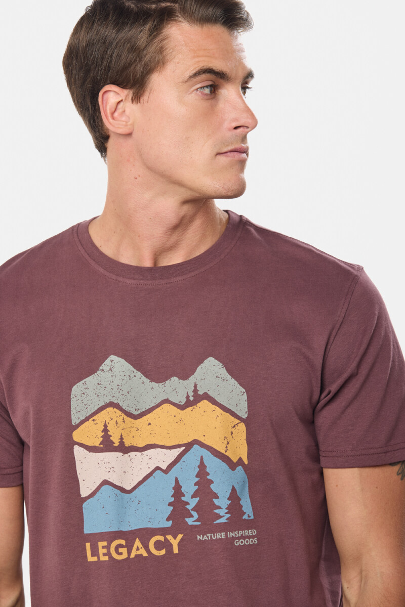 REMERA ESTAMPADA - Bordo 