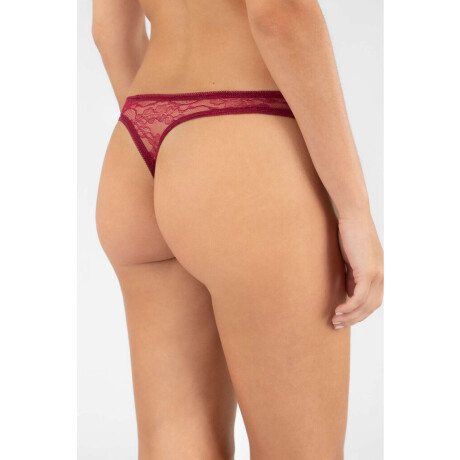 Colaless solapur Bordeaux