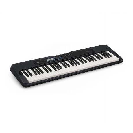 Órgano Casio Cts300 Negro