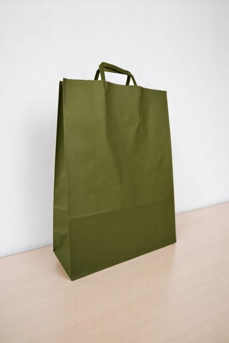 Bolsa lisa acuario 30x12x41 cm - VERDE CARDAMOMO 