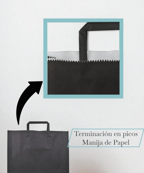 Bolsa lisa acuario 30x12x32 cm NEGRO