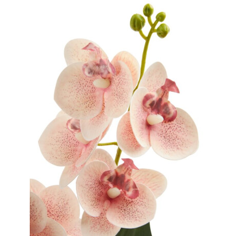 Planta Artificial Gudjon H35 Cm Orquidea