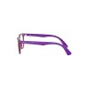 Ray Ban Junior Rb1601 3813