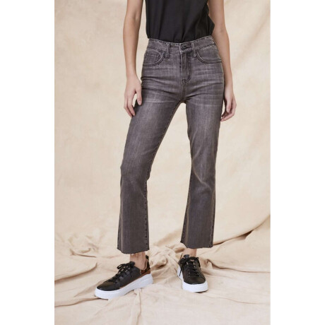 Flare Denim Gris