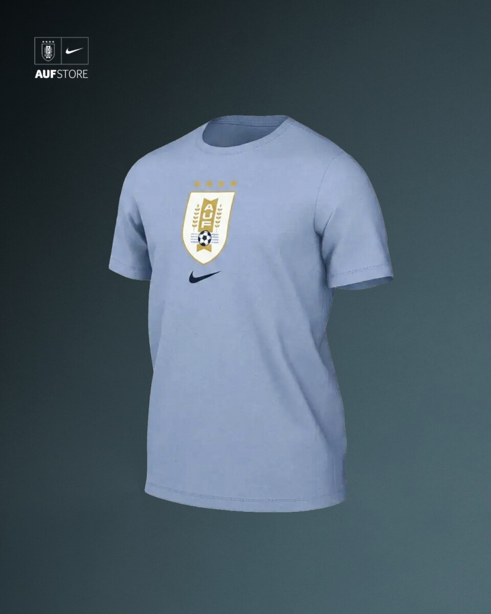 Remera Nike Celeste 2026 