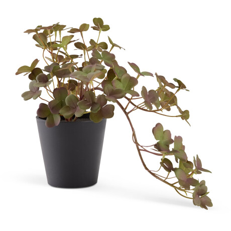 Planta Artificial Bergur A21Cm Maceta