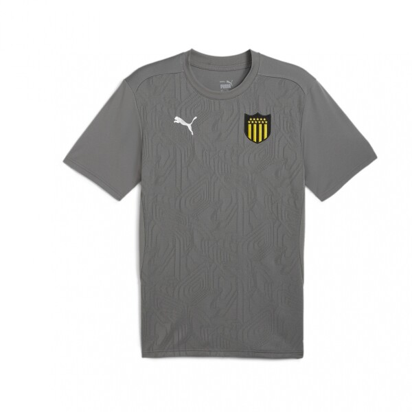 CAP Train Jersey Grey