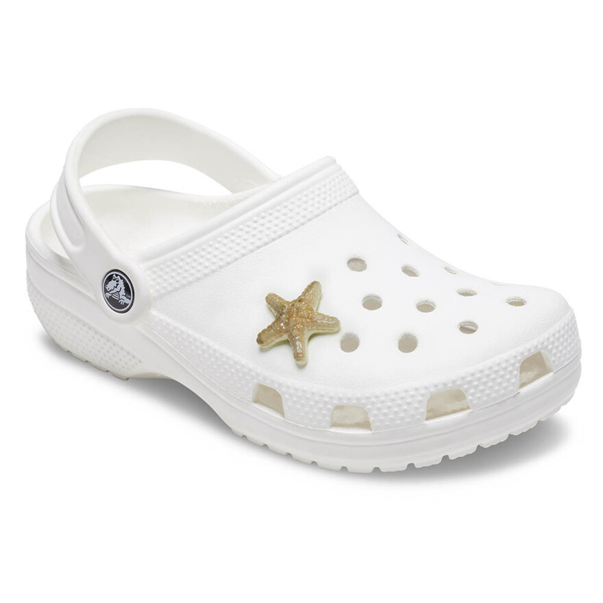 Natural Star Fish Multicolor