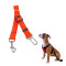 Cinturón De Seguridad Para Perros Regulable Correa Color rojo