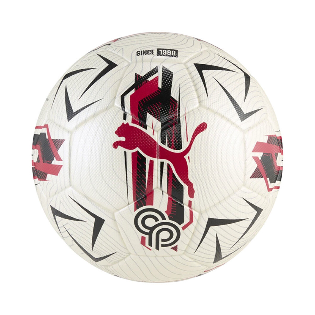 Pelota Puma 084848/01 