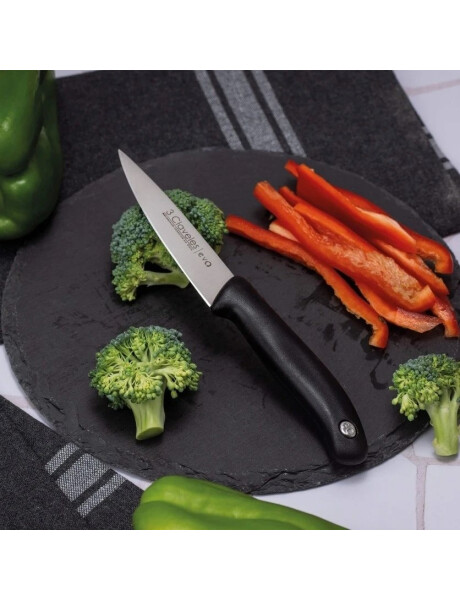 CUCHILLO VEGETALES 10CM CAJA PVC EVO 3 CLAVELES CUCHILLO VEGETALES 10CM CAJA PVC EVO 3 CLAVELES