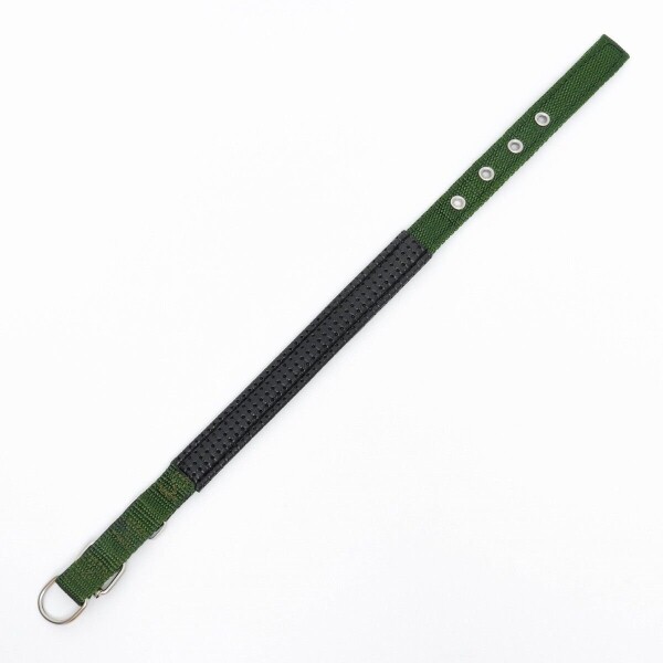 Collar Ajustable Reforzado Hebilla Nylon Perro Gato Mediano Variante Color Verde