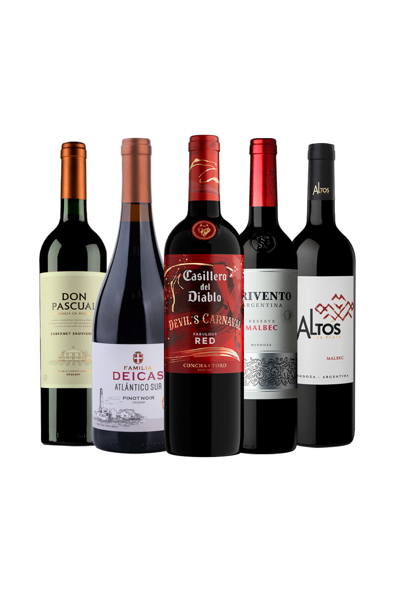 Pack Bacán Selección Mundialista x5 vinos Tiempo Extra 