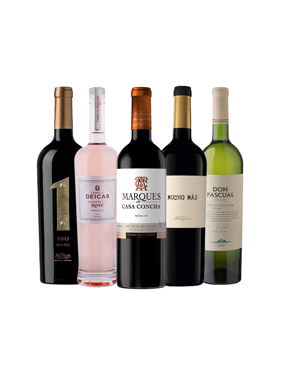 Pack Selección Variedades Protagonistas x5 vinos Mix Pack Selección Variedades Protagonistas x5 vinos Mix