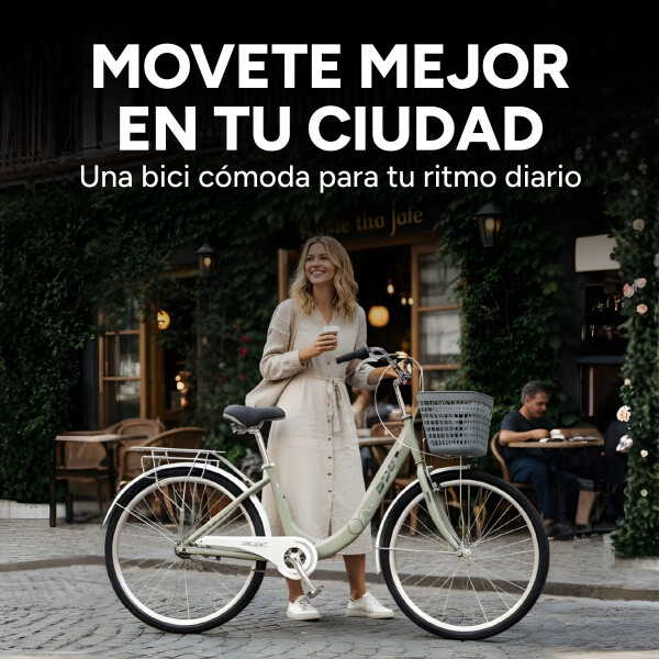 Bicicleta BDF Paseo Urbana Rodado 26 " Canasto Freno V-Brake Gris 1