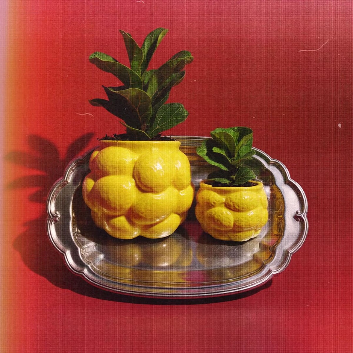 Maceta de cerámica Amalfi grande 