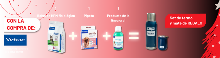HomeMedio2