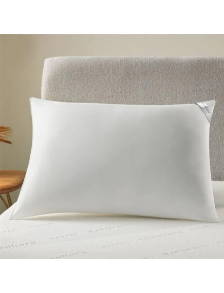 Almohada 50x70cm - Plumi Gold Almohada 50x70cm - Plumi Gold
