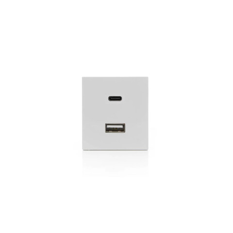 Módulo cargador USB A + C blanco puro SK3191