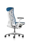 Silla Embody - Color Silla Embody - Color