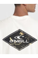 Remera O'Neill Global Triangle Blanca Remera O'Neill Global Triangle Blanca