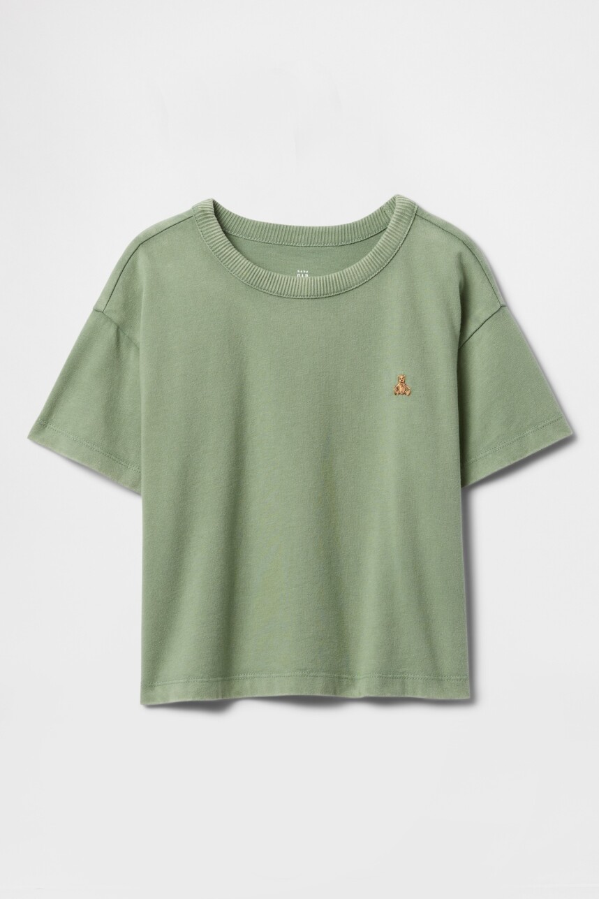 Remera Washed Toddler Niño Twig