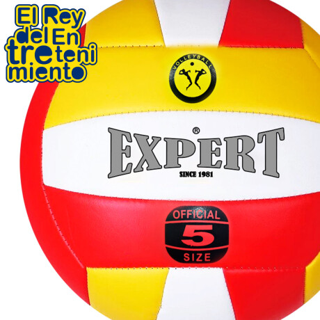 Pelota Volleyball Expert Nº5 Oficial Voley Playa Pelota Volleyball Expert Nº5 Oficial Voley Playa