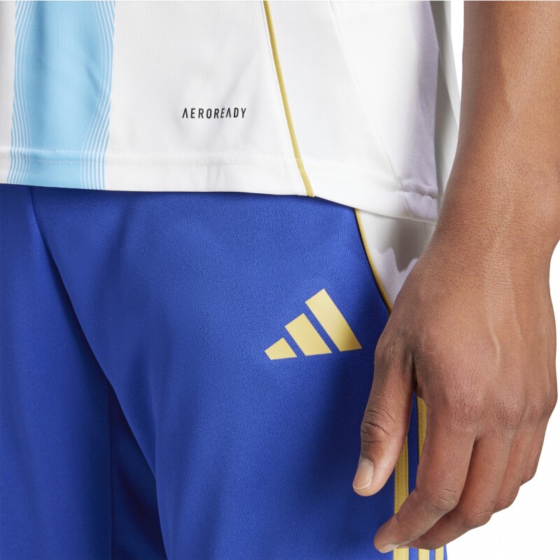 REMERA adidas PITCH 2 STREET MESSI white/semi blue burst