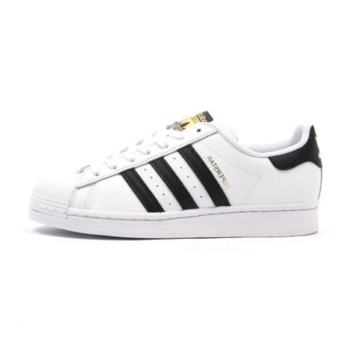 Champion Adidas Moda Niño Superstar - S/C 