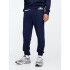 V-FRCH FT HERITAGE LOGO JOGGER B85 CHARCOAL HEATHER XXL TAPESTRY NAVY V2