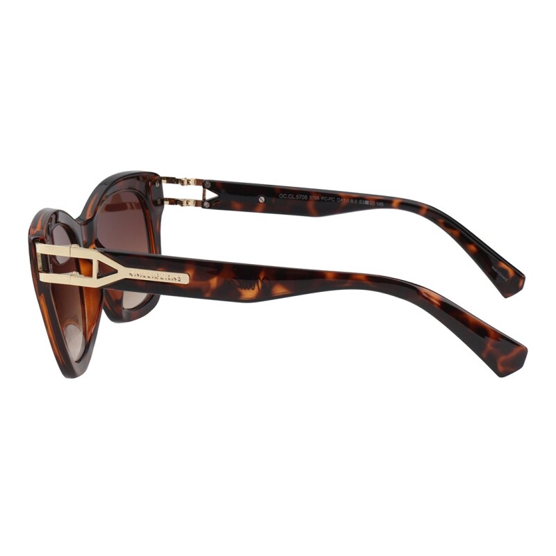 Lentes de Sol Chilli Beans Anitta Animal Print