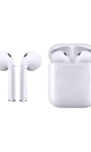 AURICULAR ANTÁRTICO BLANCO