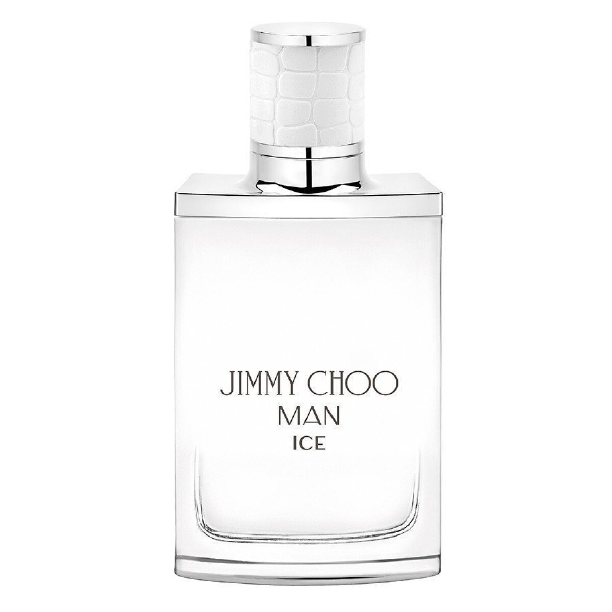 Perfume J.Choo Men Ice EDT 