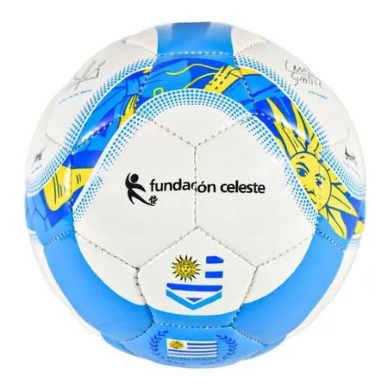 Pelota N°2 / Fundación Celeste Pelota N°2 / Fundación Celeste
