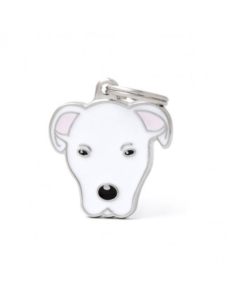 MF49 - DOGO ARGENTINO 