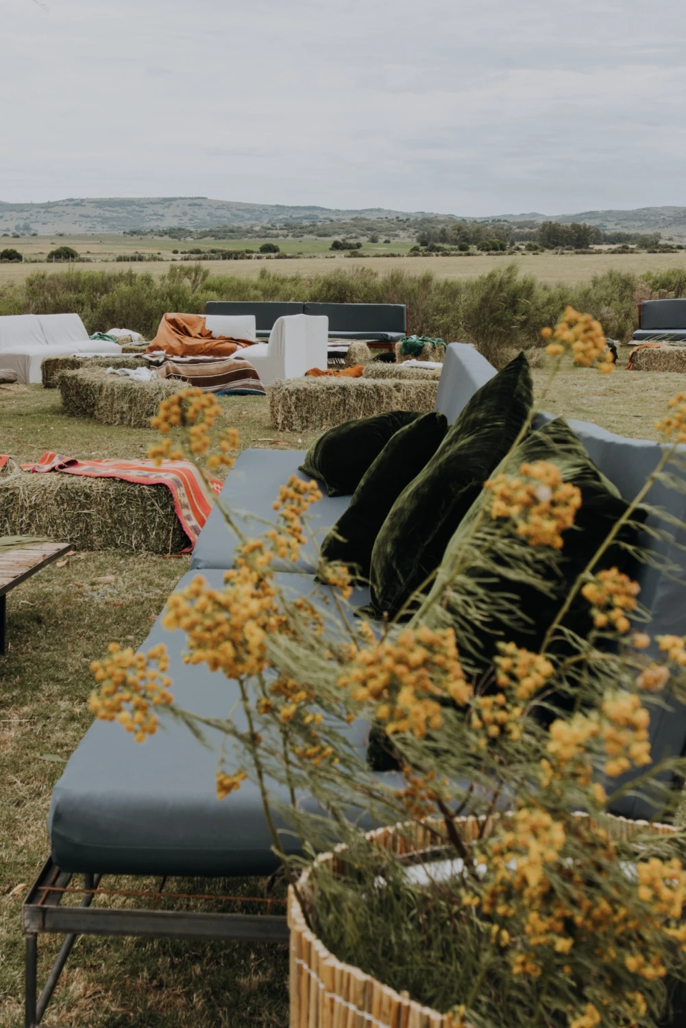 Terciopelo Cushion - Grande