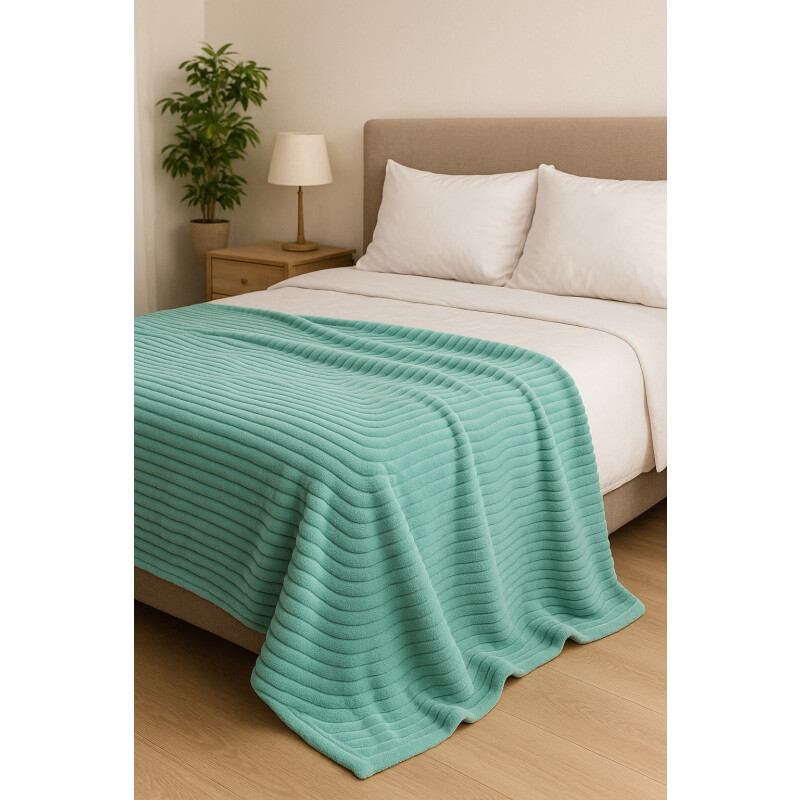 Manta Frazada Polar Suave Invierno 2 plazas Abrigada Celeste